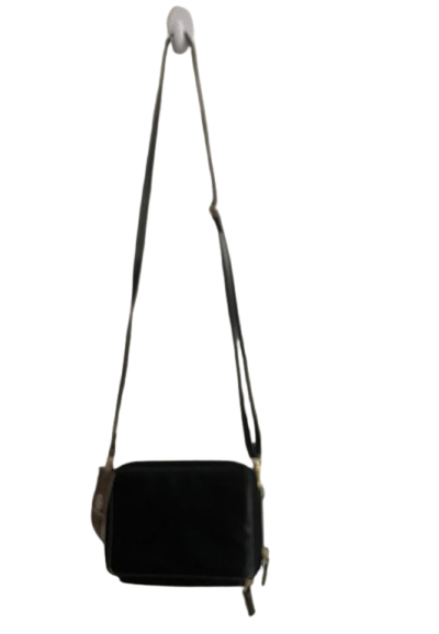 Giani_2-removebg-preview
